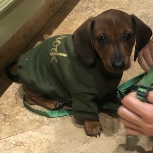 Meet your Posher, Alanna